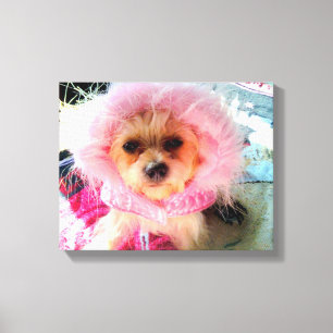 My Colour Is Pink Canvas Print