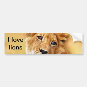 My cute lion face bumper sticker