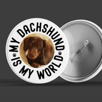 My Dachshund Is My World Custom Dog Photo