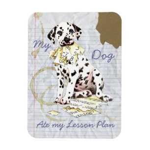 My Dalmatian Ate My Lesson Plan Magnet