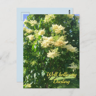 My Darling Postcard