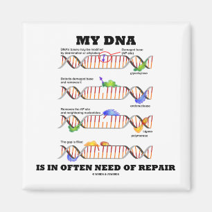My DNA Is In Often Need Of Repair (DNA Humour) Magnet