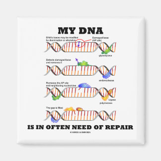 My DNA Is In Often Need Of Repair (DNA Humour) Magnet