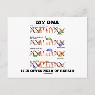 My DNA Is In Often Need Of Repair (DNA Humour) Postcard