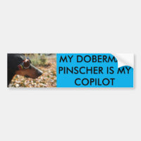 MY DOBERMAN PINSCHER IS MY COPILOT