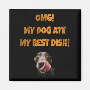My dog ate my best dish stainless steel water bott magnet