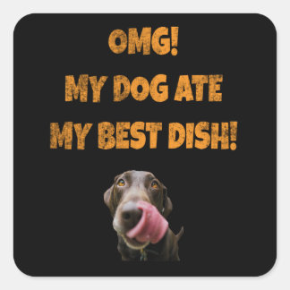 My dog ate my best dish stainless steel water bott square sticker