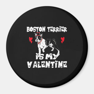 My Dog Boston Terrier Is My Valentine Day Animal Magnet