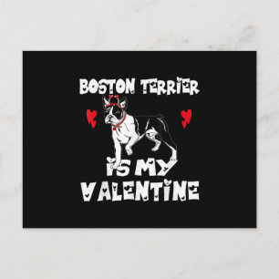 My Dog Boston Terrier Is My Valentine Day Animal Postcard