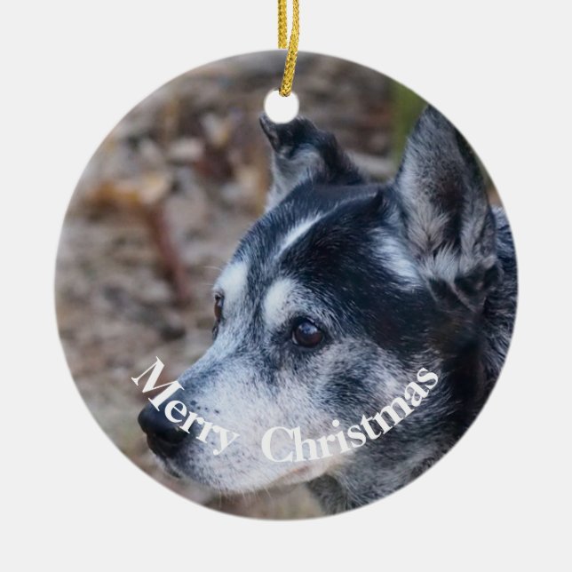 My dog Christmas ornament (Front)