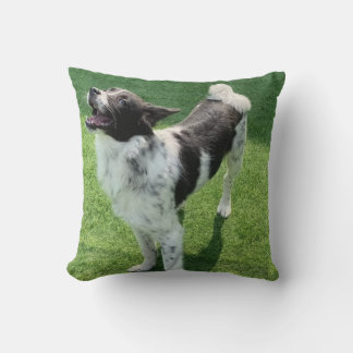 My dog cushion