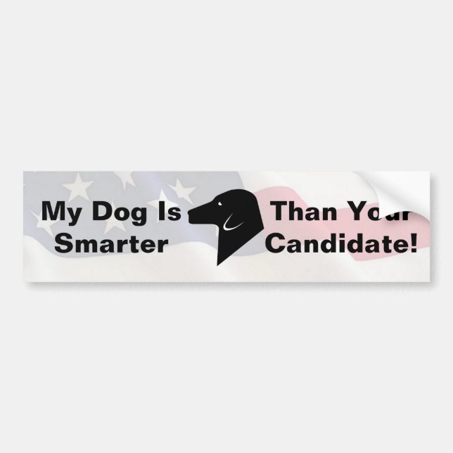 My Dog Dog is Smarter American Flag Bumper Sticker (Front)