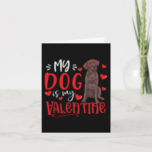 My Dog Is My Valentine Chocolate Labrador Valentin Card
