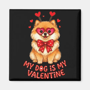 My Dog Is My Valentine Cute Meranian With Heart Gl Magnet