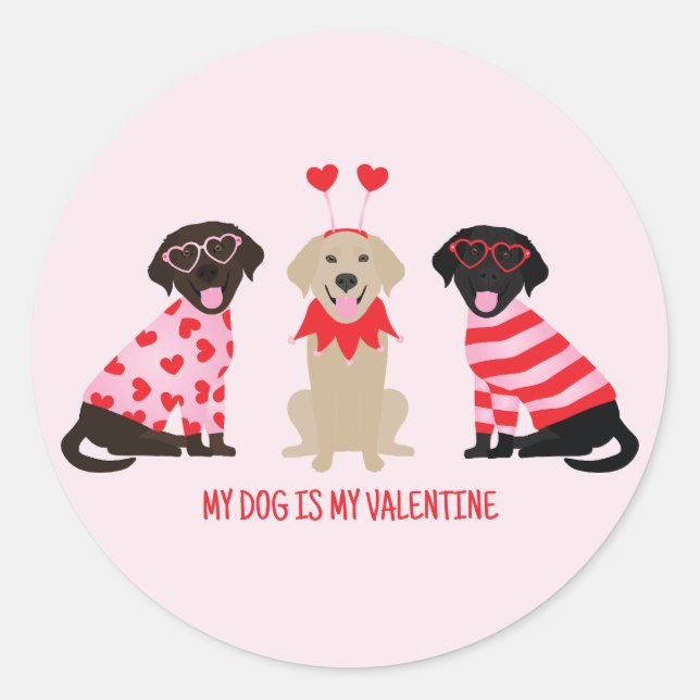 My Dog Is My Valentine Labrador Retriever Dogs Classic Round Sticker (Front)