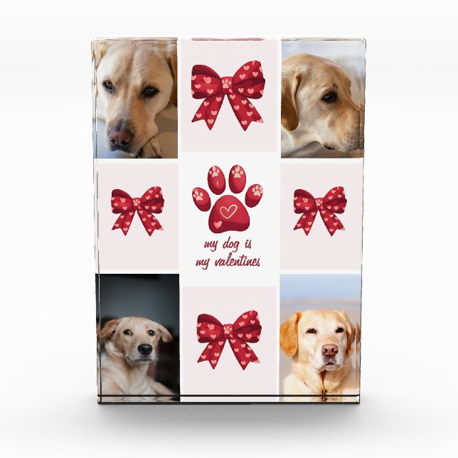 My Dog Is My Valentines Bow 4 Photos (Front)