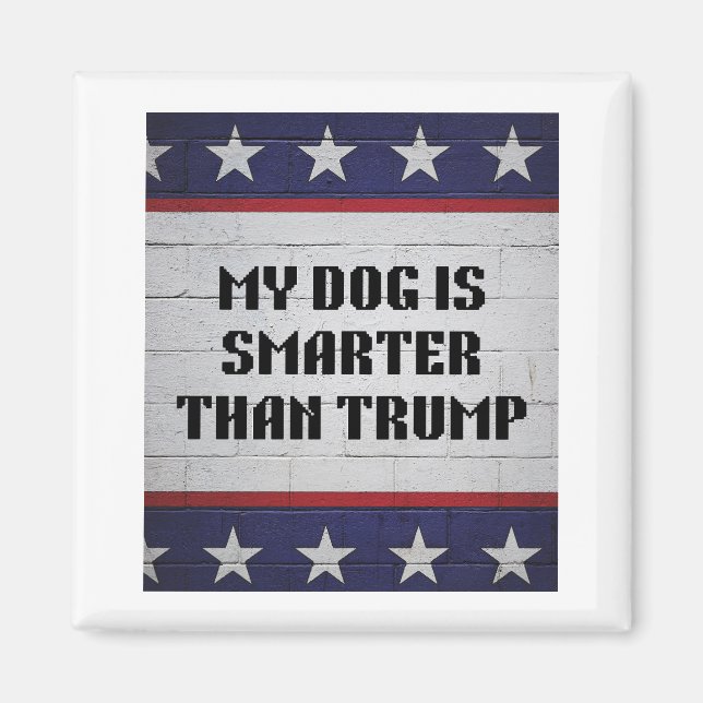 My Dog Is Smarter Than Trump Magnet (Front)