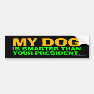 My Dog Is Smarter Than Your President Bumper Sticker