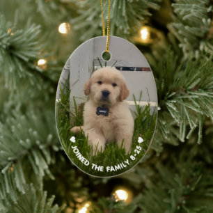 My Dog Photo Christmas Ceramic Tree Decoration