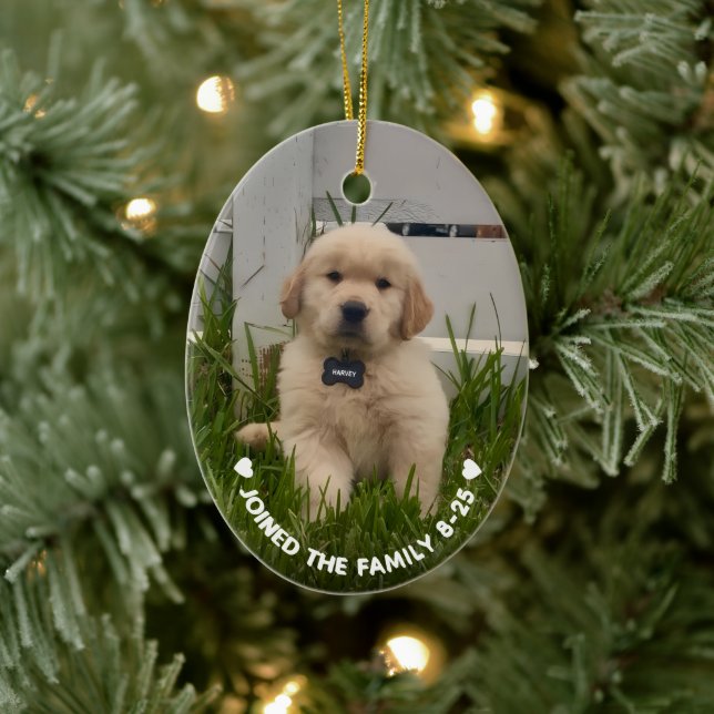 My Dog Photo Christmas Ceramic Tree Decoration (Tree)
