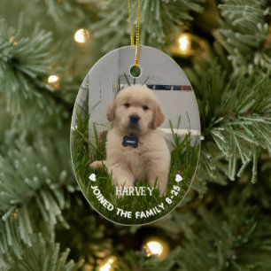 My Dog Photo Christmas Ceramic Tree Decoration