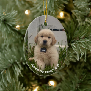 My Dog Photo Christmas Ceramic Tree Decoration