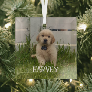 My Dog Photo Christmas Glass Tree Decoration