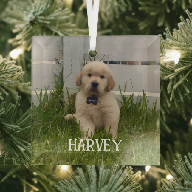My Dog Photo Christmas Glass Tree Decoration (Insitu)