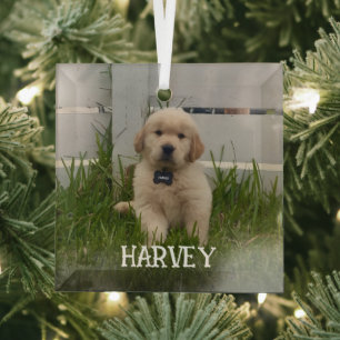 My Dog Photo Christmas Glass Tree Decoration