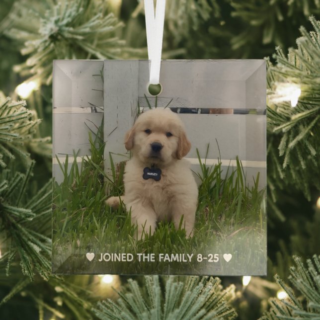My Dog Photo Christmas Glass Tree Decoration (Insitu)