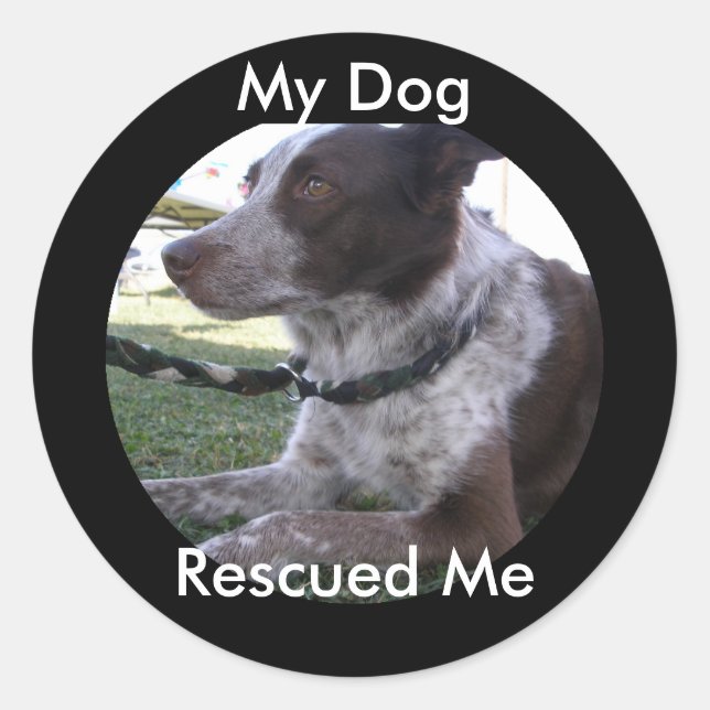 My Dog Rescued Me (Custom) Classic Round Sticker (Front)
