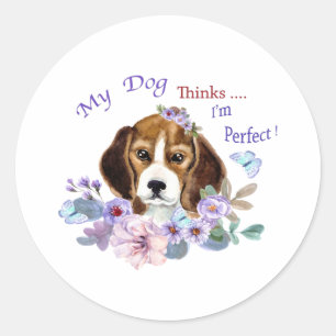 My Dog thinks I'm Perfect Dog Illustration  Classic Round Sticker