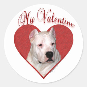 My Dogo Argentino Valentine; Dogo Valentine Classic Round Sticker