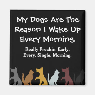 My Dogs Wake Me Up Magnet