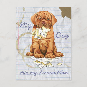 My Dogue de Bordeaux Ate My Lesson Plan Postcard