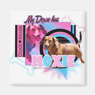 My Doxie has Moxie Magnet