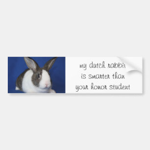 "my Dutch Rabbit..." Bumper Sticker
