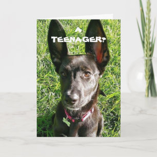 MY "EARS" SURE COME IN HANDY "13th BIRTHDAY FUN" Card