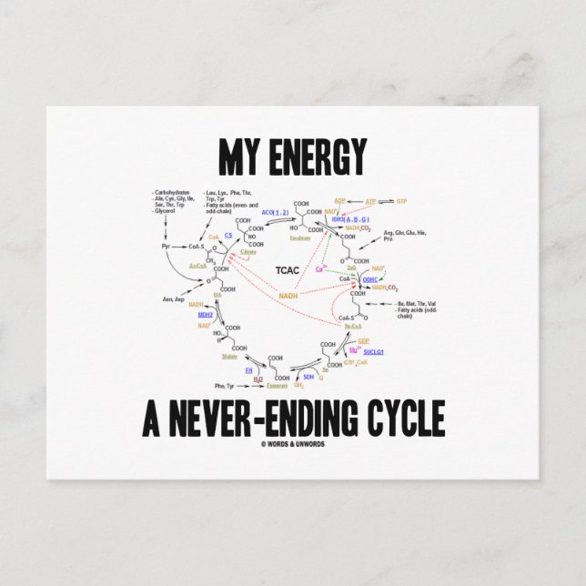 My Energy A Never-Ending Cycle (Krebs Cycle) Postcard (Front)