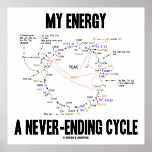 My Energy A Never-Ending Cycle (Krebs Cycle) Poster