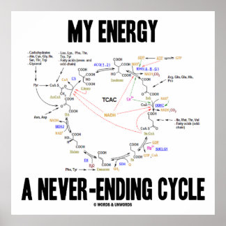 My Energy A Never-Ending Cycle (Krebs Cycle) Poster