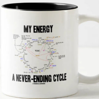 My Energy A Never-Ending Cycle (Krebs Cycle) Two-Tone Coffee Mug