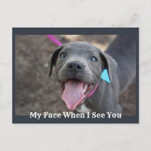 My Face When I See You Cute Puppy Postcard