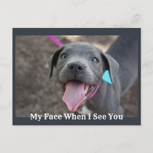My Face When I See You Cute Puppy Postcard (Front)