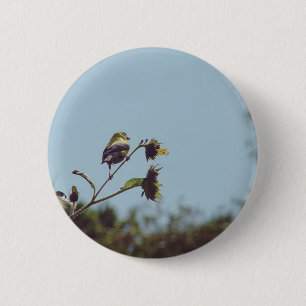 My fave little visitors. #bird #nature #wildlife 6 cm round badge