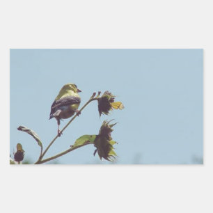 My fave little visitors. #bird #nature #wildlife rectangular sticker