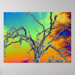 my favorite psychedelic tree poster