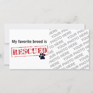 My Favourite Breed Is Rescued