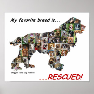My Favourite Breed is Rescued poster