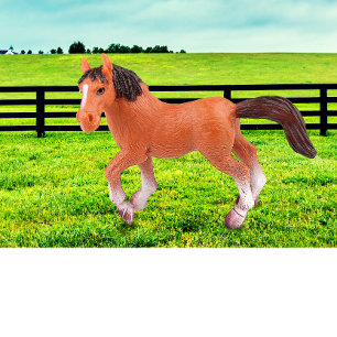 My Favourite Horse Cushion